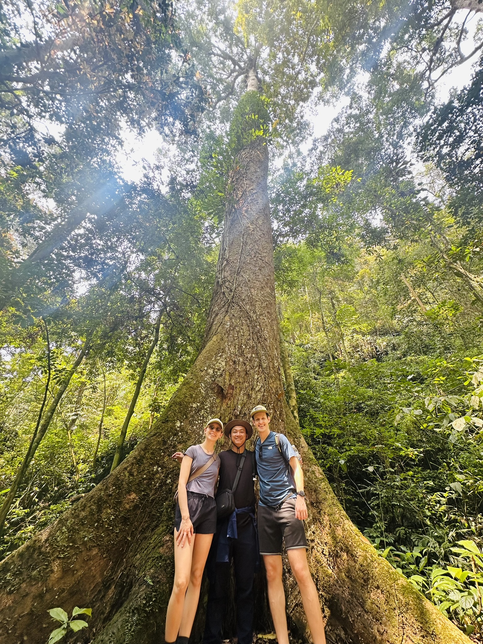 Cuc Phuong National Park